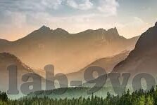 310现场足球比分-310现场足球比分，球迷的实时信息港湾