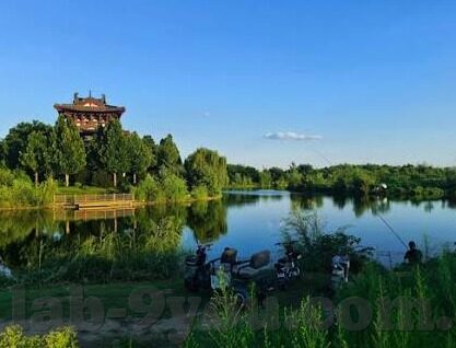 华奥星空体育传播有限公司-把握体育脉搏，华奥星空体育传播有限公司引领体育文化传播新篇章