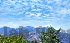 免费提现炸金花-免费提现炸金花，一场意外的惊喜